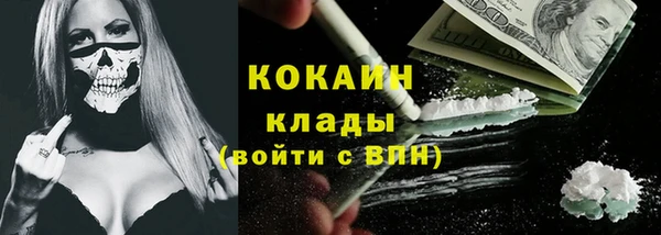 гашик Алексин