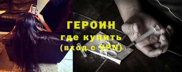 гашик Алексин