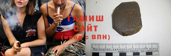 гашик Алексин