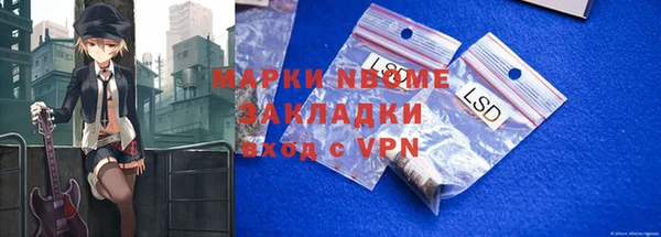 гашик Алексин